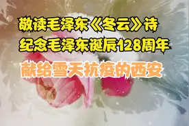 读毛泽东《冬云》诗，纪念毛泽东诞辰128周年，献给抗疫中的西安视频封面