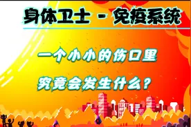免疫系统：被划破个小伤口，看似无事，其实里面发生着凶猛大战视频封面