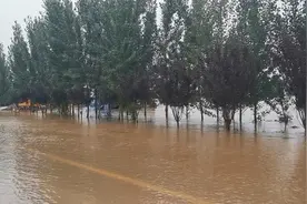 浚县卫河决口水位已下降，彭村被救村民：河堤被困人员已陆续救出视频封面