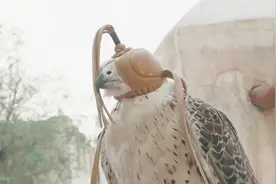 带你参观卡塔尔的首都多哈，看看世界最富裕的国家，一起来见识下视频封面