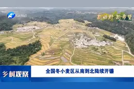 全国冬小麦区从南到北陆续开镰视频封面