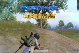 和平精英：要不是有淘汰回放功能，很多人都不知道咋回事呢