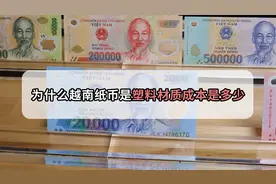 用塑料做的钞票你见过吗？撕不破洗不烂，也太省心了吧