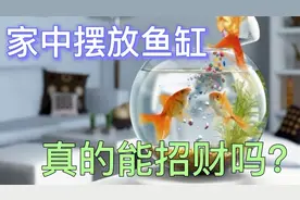据说家中摆放鱼缸能改变磁场，达到改运招财的效果，这是真的吗？