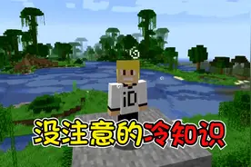 我的世界：老玩家都没注意的冷知识！黄金镐子是开采速度最快的？