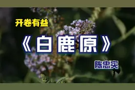 开卷有益：品读陈忠实名作——《白鹿原》：第四十二回（完）视频封面