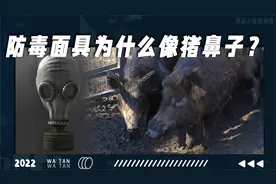防毒面具原来是根据野猪发明的视频封面