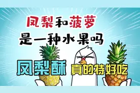 凤梨和菠萝有什么区别？除了凤梨酥，凤梨还能做罐头，真的特好吃视频封面