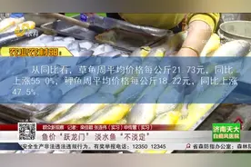 鱼价“跃龙门”！草鱼、鲫鱼、鲤鱼、白鲢鱼等,价格环比有所上涨视频封面