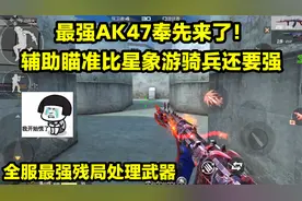 AK47奉先来了！辅助瞄准比M4星象游骑兵还要强！视频封面