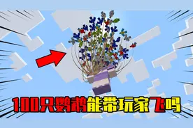 我的世界：100只鹦鹉可以带着玩家飞走吗？