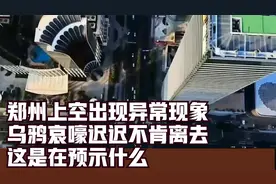 郑州上空出现异常现象，乌鸦哀嚎迟迟不肯离去，这是在预示什么