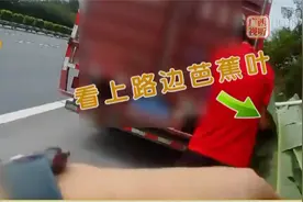 南宁：只因看上路边芭蕉叶，司机违法占用应急车道视频封面