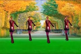 广场舞《妹妹往哪走》太好听了