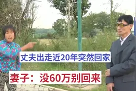 丈夫离家出走近20年后突然回家，妻子：没60万别回来视频封面