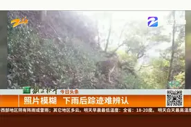 杭州转塘山中疑似发现豹子  林业专家现场勘察视频封面