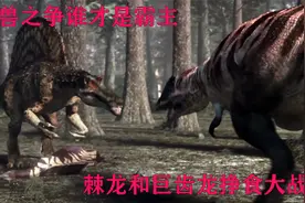 鲨齿龙的领地之争，棘背龙抢食鲨齿龙猎物，史前生物大作战（一）视频封面