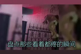 盘点那些看着都疼的瞬间，小姐姐撞到要害，隔着屏幕都痛