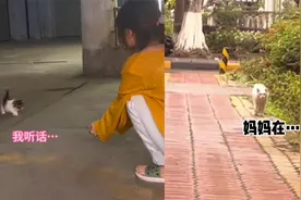 猫妈把小猫托付给女生，尽管不舍但依旧转身离开，反应惹人泪目