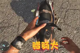 孤岛惊魂：收养了一只没有战斗力的宠物狗，没想到它的作用这么大视频封面