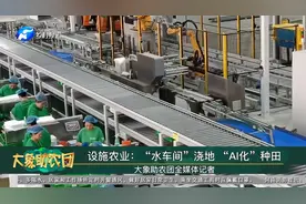 设施农业：“水车间”浇地 “AI化”种田视频封面