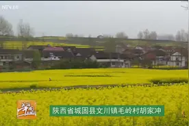 看看央视“美丽中国乡村行”拍摄地，就知道汉中哪里油菜花最美了视频封面