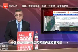 从47起案例看环保问题背后的形式主义视频封面