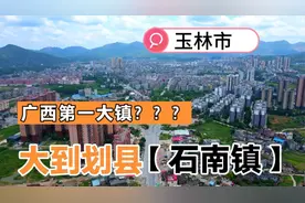 探访广西玉林石南镇 这里镇上规模大到直接成立了兴业县视频封面