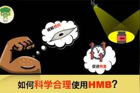 HMB：如何合理地使用运动补剂HMB？基于ISSN（避开运动补剂误区）