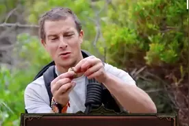 贝爷荒野求生营救狮子跟狒狒，被蟒蛇与狮子袭击，贝爷能否成功视频封面