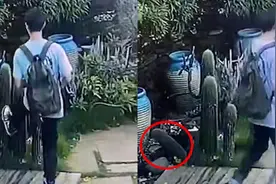 连踢5脚！广西涠洲岛景区一游客5脚踹断仙人掌，网友：素质呢？视频封面