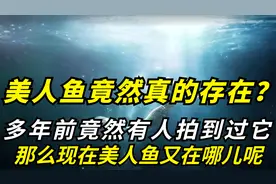 美人鱼确实存在！并且还有人曾拍到过，那么它们现在又在哪里视频封面
