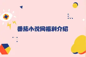 来番茄小说，解锁各类作家福利