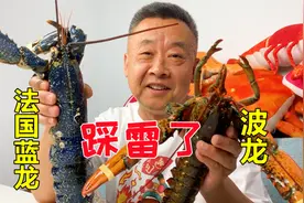 蓝龙虾比普通龙虾贵那么多，但是味道却很一般