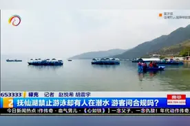 抚仙湖禁止游泳却有人在潜水 游客问合规吗？视频封面