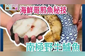 【泊檔煮意】海鮮哥煎魚秘技北極野生鱸魚