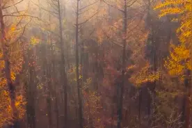 烦恼尽消钢琴曲：山桃红花满上头，蜀江春水拍山流。视频封面