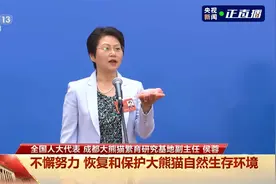 成都基地大熊猫数量近30年增长12倍视频封面