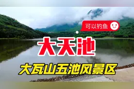 大瓦山五池风景区，大天池才是四川避暑钓鱼圣地，凉快还没有墨蚊视频封面