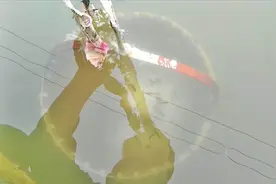 水缸里到处都是蚊子幼虫，利用土方法钓鱼帮忙清理门户视频封面