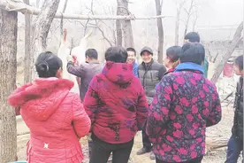 一头猪220斤肉一家30斤，还真的不够分！过年吃这猪肉那叫一个香