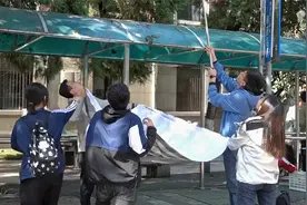 自制采摘"神器"! 高校举办摘柿子大赛，塑料瓶、布袋、床单齐上场