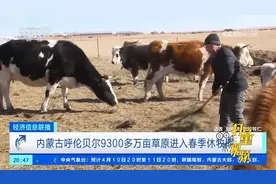 内蒙古呼伦贝尔9300多万亩草原进入春季休牧期视频封面