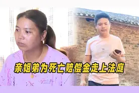 丈夫去世获赔96万，扶弟魔姐姐借给弟弟56万，结果和你想的一样视频封面