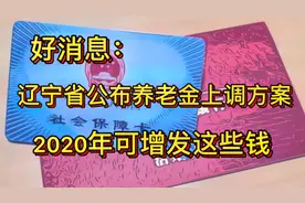 好消息：辽宁发布2020年最新退休养老金上调政策，涨幅有多大？视频封面