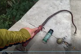 给大家展示一下我长途路上的三样宝贝，防狗防盗防抢视频封面