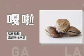 【WOE】 吃嘎啦能喝啤酒吗？