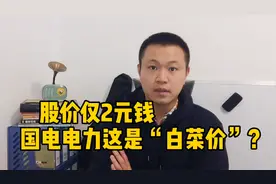 世界500强主要公司之一，股价仅2元钱，国电电力这是“白菜价”？视频封面