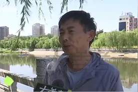 东风渠里的鱼“翻白肚”，竟是暴雨惹的祸？