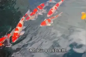 小六壬神奇寻物术：玄门预测法助你找回失物，轻松解决烦恼！视频封面